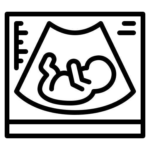 Obstetrícia