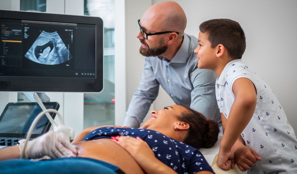 Obstetrícia e morfológico - Dr. Ilan Cardoso